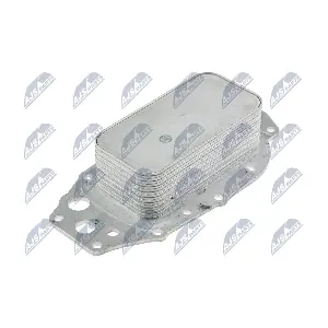 NTY CCL-LR-004