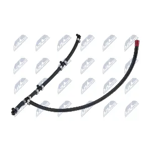 BPP-PL-004 NTY