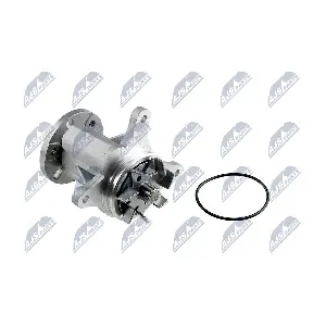CPW-CT-033 NTY