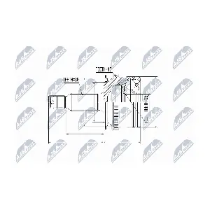 NPZ-MS-006 NTY