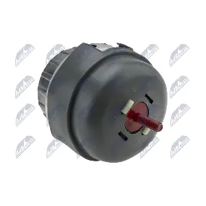 ZPS-AU-049 NTY