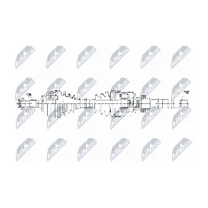 NTY NPW-CT-152