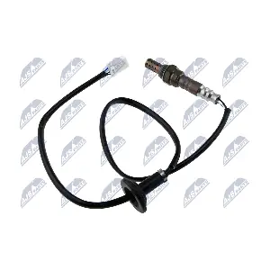 NTY ESL-MS-015