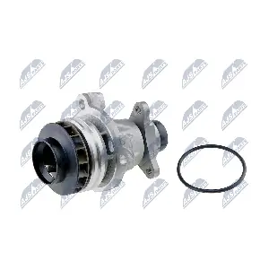 CPW-PL-054 NTY