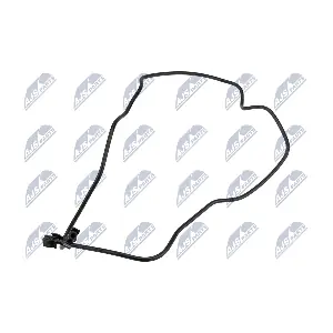 BPP-FR-019 NTY