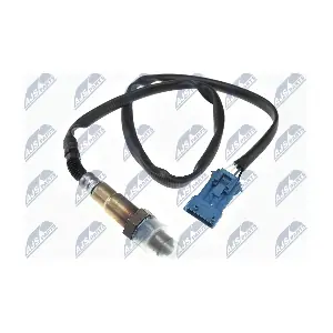 NTY ESL-CT-000