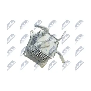 CCL-NS-004 NTY