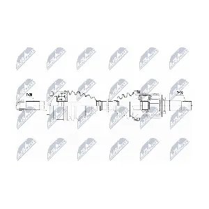 NPW-FR-088 NTY