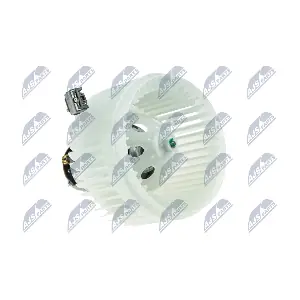 EWN-VV-001 NTY