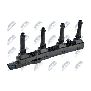 ECZ-PL-013 NTY