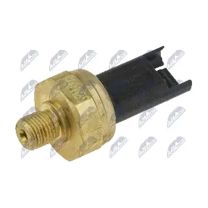 EFP-BM-005 NTY