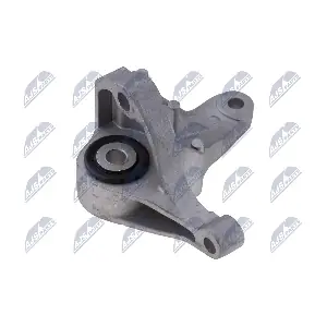 ZPS-FR-066 NTY