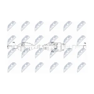 NTY NPW-FR-202