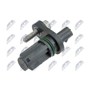 ECP-PL-024 NTY