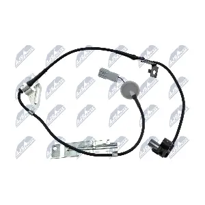HCA-MZ-032 NTY