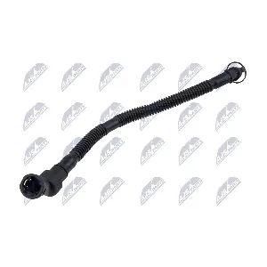 GPP-BM-138 NTY