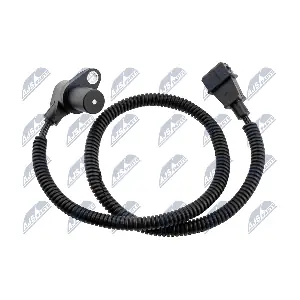 ECP-FT-004 NTY