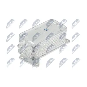CCL-BM-021 NTY