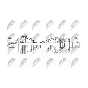 NTY NPW-VW-133
