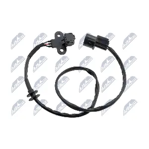 ECP-MS-016 NTY