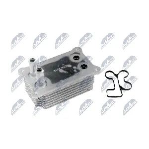 NTY CCLFR002