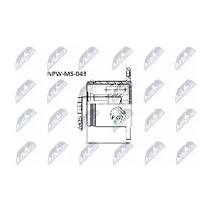 NPW-MS-043 NTY