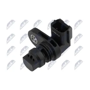 ECP-MZ-012 NTY