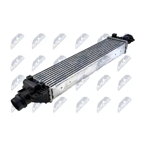 NTY CCL-PL-037