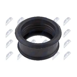 GPP-PE-019 NTY