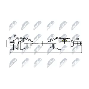NPW-ME-031 NTY
