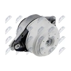 ZPS-ME-078 NTY