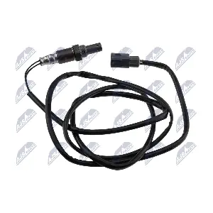 ESL-PL-020 NTY