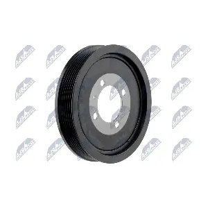 NTY RKP-PL-016