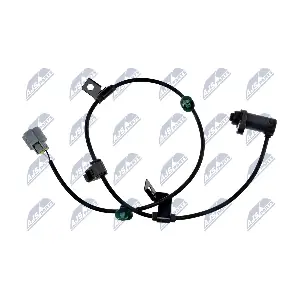 HCA-MS-054 NTY
