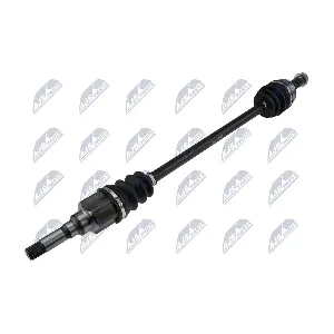 NPW-TY-206 NTY