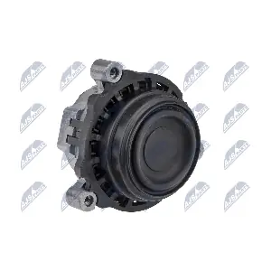 ZPS-BM-028 NTY