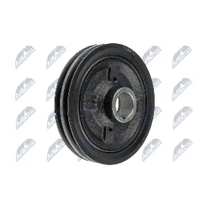 RKP-MS-021 NTY