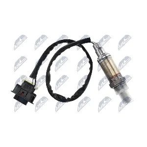 NTY ESL-PL-012