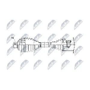 NPW-AU-086 NTY