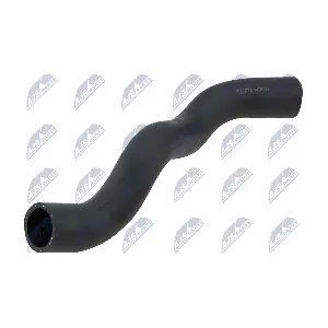 CPP-PL-008 NTY
