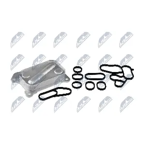 NTY CCL-PL-002