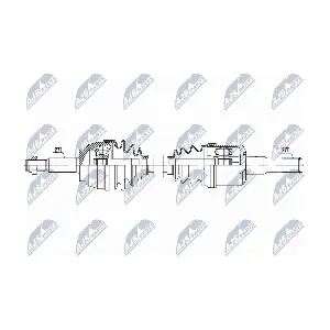 NTY NPW-FR-187