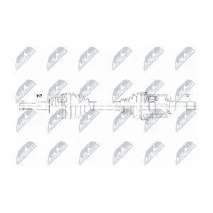 NTY NPW-FR-213