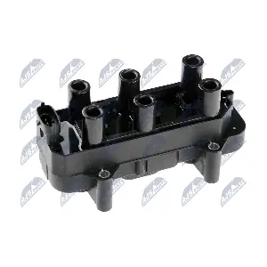 ECZ-PL-011 NTY