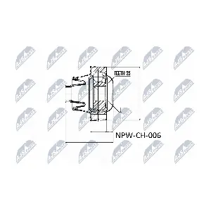NTY NPWCH006