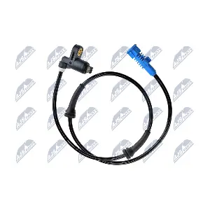 NTY HCA-PE-001