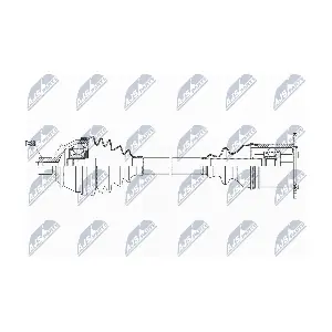 NTY NPW-AU-021