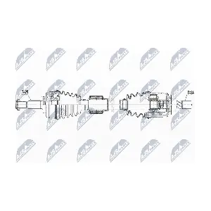 NPW-RE-166 NTY