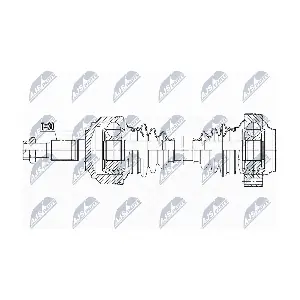 NPW-VW-188 NTY