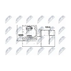 NTY NPW-FR-036